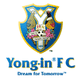 龍仁FC